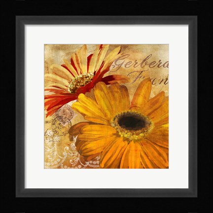 Framed Golden Gerbera II Print