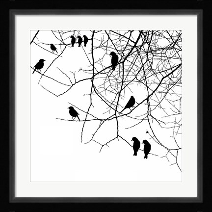 Framed Bird II Print