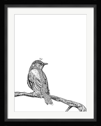 Framed Bird III Print