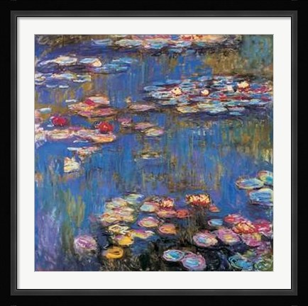 Framed Waterlilies, c.1916 Print