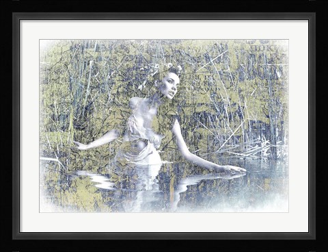 Framed Swan Lake Print