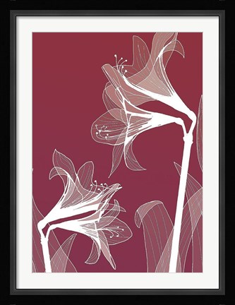 Framed X-ray Flowers Red Print