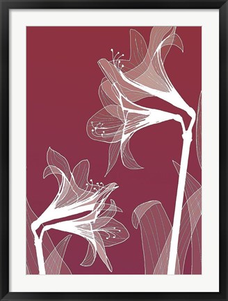 Framed X-ray Flowers Red Print