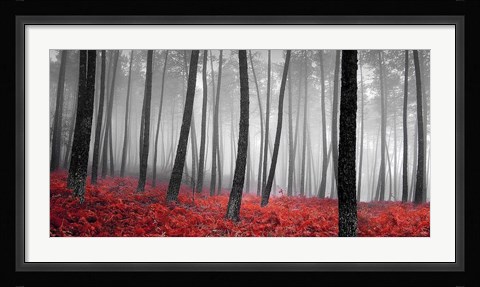 Framed Autumn Woods 2 Print