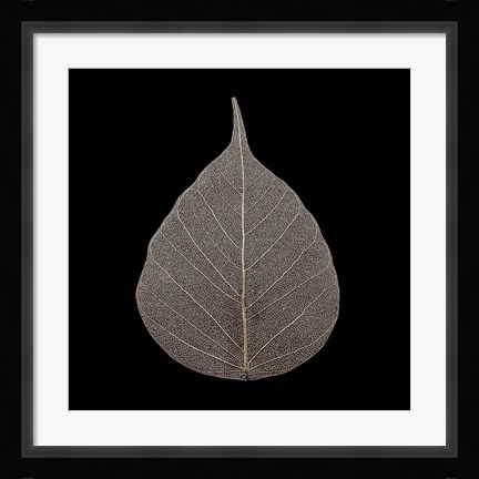 Framed Brown Leaf Print