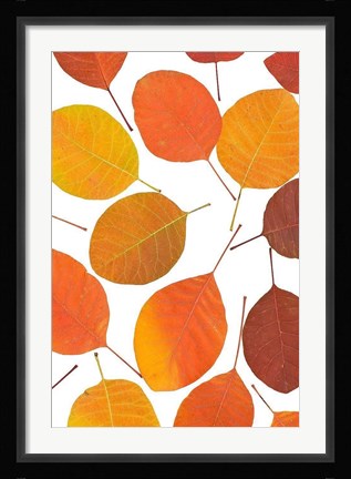 Framed Brown Leaves Print