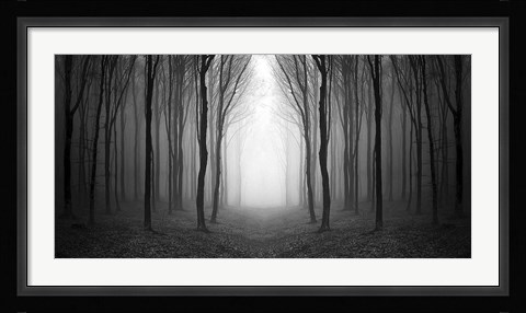 Framed Dark Woods Print