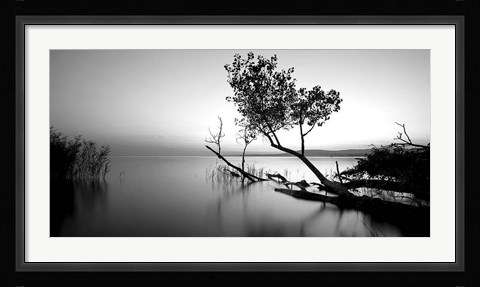 Framed Great Lake Print