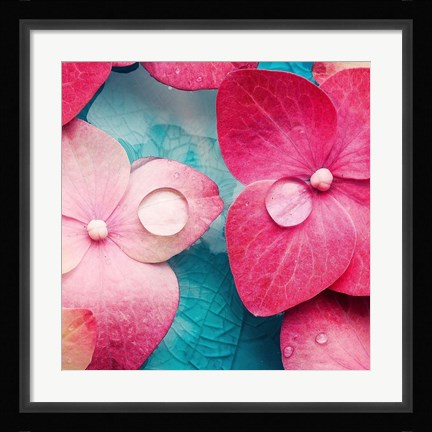 Framed Pink Flowers 3 Print