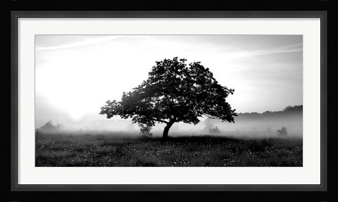 Framed Solemn Tree Print