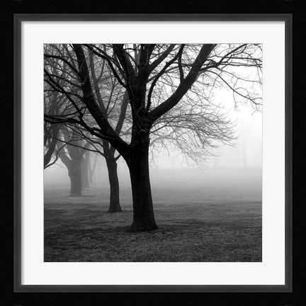 Framed Trees Print