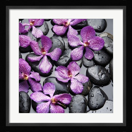 Framed Zen Pebbles IV Print