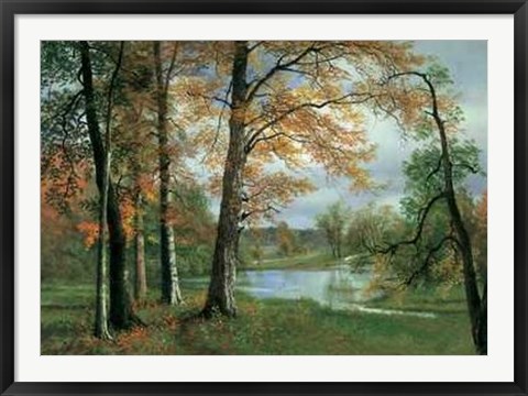 Framed Quiet Pond Print
