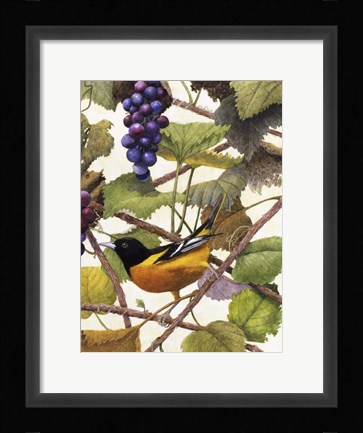 Framed Golden Glow II Print