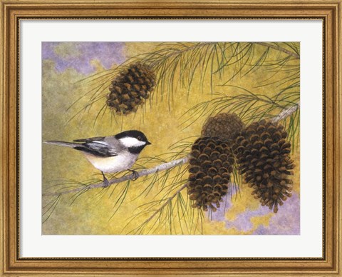 Framed Chickadee in the Pines I Print