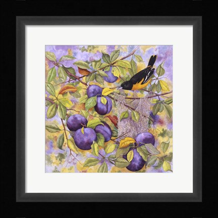 Framed Oriole &amp; Plums Print