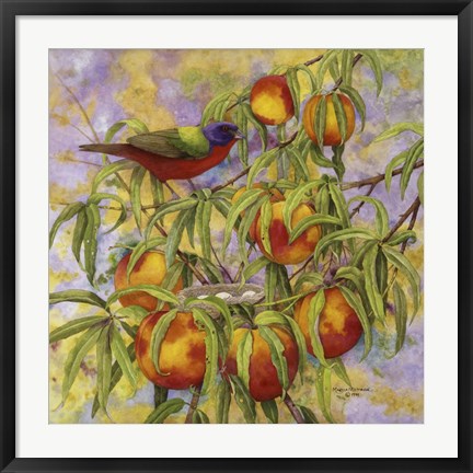 Framed Painted Bunting &amp; Peaches Print
