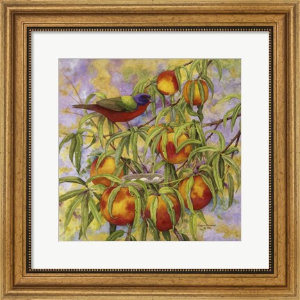 Framed Painted Bunting &amp; Peaches Print