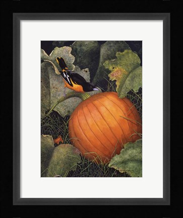 Framed Oriole &amp; Pumpkin Print