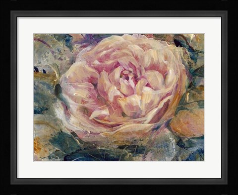 Framed Floral in Bloom IV Print