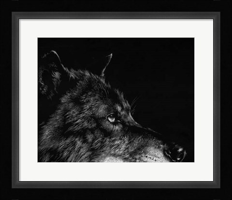 Framed Scratchboard Wolf I Print