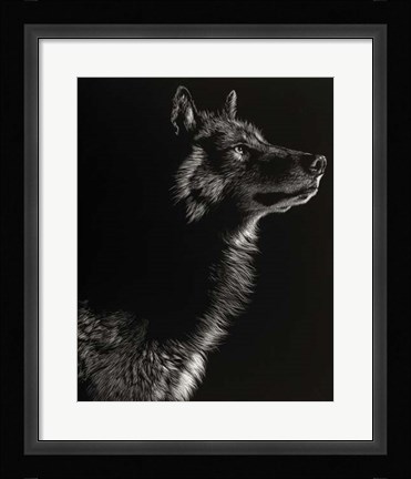 Framed Scratchboard Wolf II Print