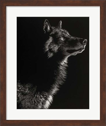 Framed Scratchboard Wolf II Print
