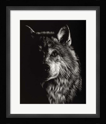 Framed Scratchboard Wolf III Print