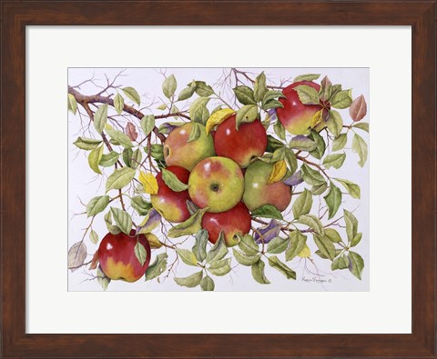 Framed Apples Print