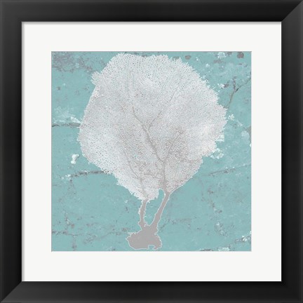 Framed Graphic Sea Fan II Print