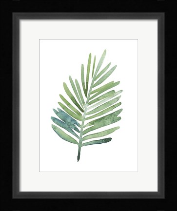 Framed Untethered Palm V Print