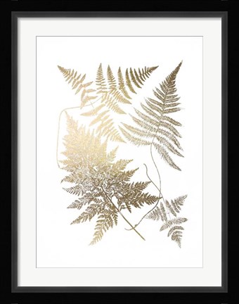 Framed Gold Foil Ferns III Print