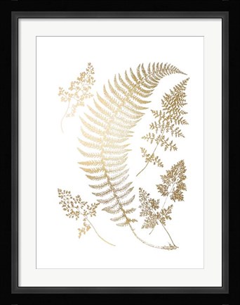 Framed Gold Foil Ferns IV Print