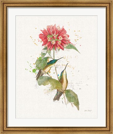 Framed Colorful Hummingbirds I Print