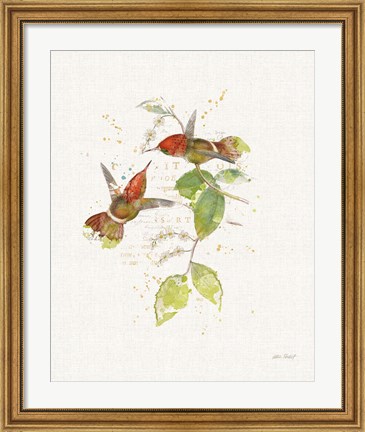Framed Colorful Hummingbirds II Print