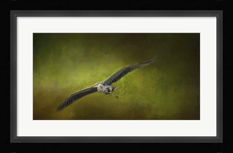 Framed Great Blue Heron In The Grove Print