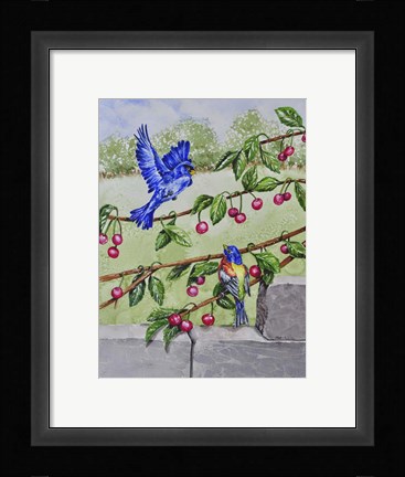 Framed Indigo Bunting and Rainbow Bunting Print