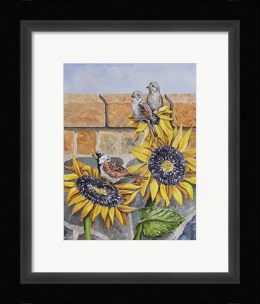 Framed House Sparows with Sunflowers Print