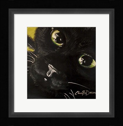 Framed Cat's Eyes Print