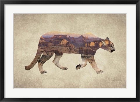 Framed Arizona Mountain Lion Print