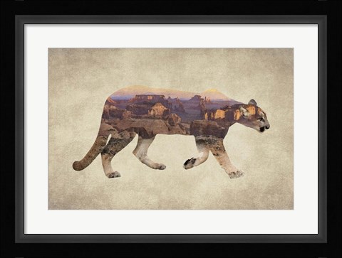Framed Arizona Mountain Lion Print