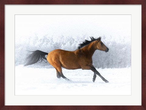 Framed Pop of Color Running Horse Print