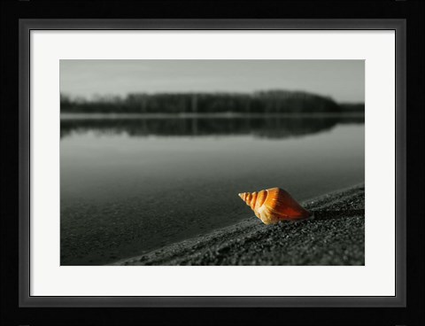 Framed Pop of Color Orange Shell Print