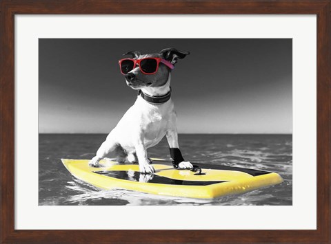 Framed Pop of Color Surf&#39;s Up Dog Print