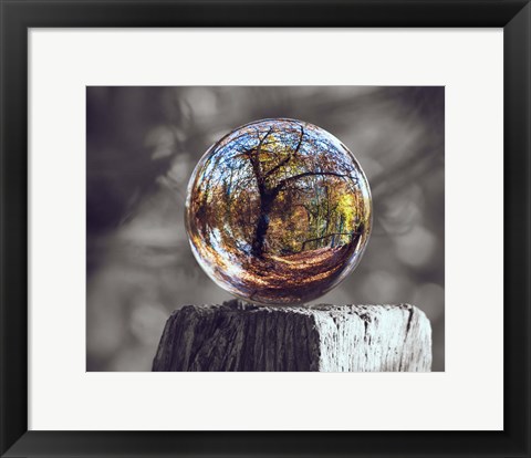 Framed Pop of Color Glass Sphere Print