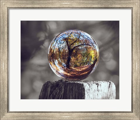 Framed Pop of Color Glass Sphere Print