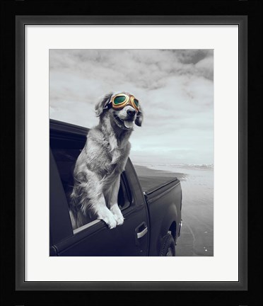 Framed Pop of Color Cool Dog Print