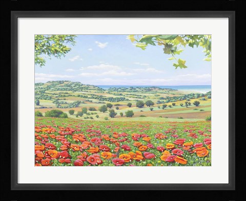 Framed Campo di Papaveri Print