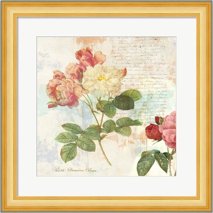 Framed Redoute&#39;s Roses 2.0 I Print