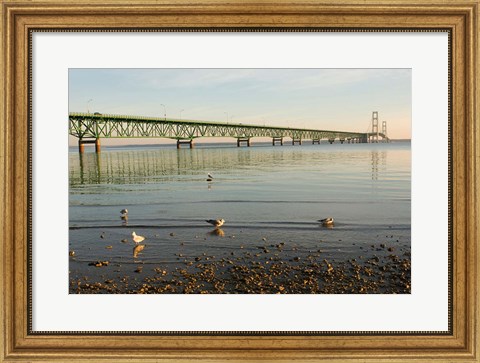 Framed Mackinac Bridge, Mackinaw City, Michigan Print